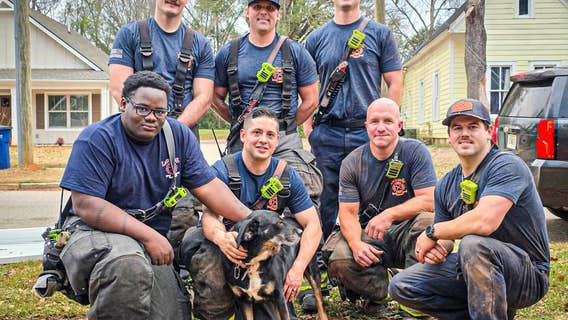 Dog survives 6 days trapped in 20-foot dry well under house