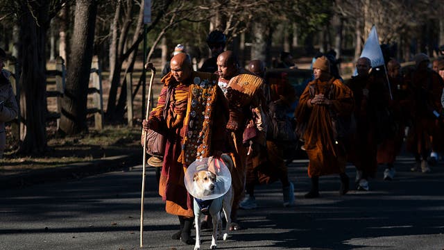 Walk for Peace continues after brief reunion with Aloka the 'Peace Dog'