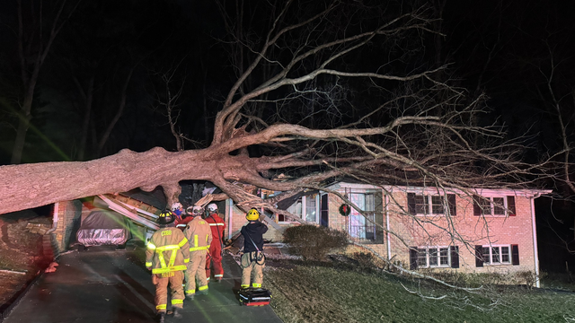 Tree falls on Cobb County home trapping 2