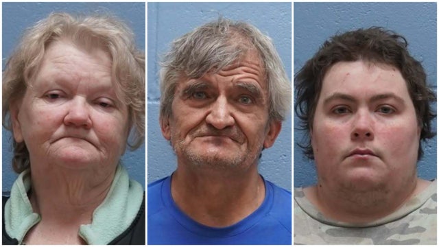 29 dead dogs, 24 emaciated dogs found at Alabama home