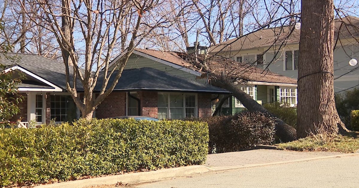 Gusty winds knock tree on Atlanta home with infant inside | FOX 5 Atlanta