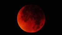 Total lunar eclipse bringing 'Blood Moon' to North Georgia skies Tuesday