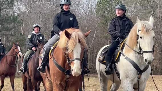 No horsing around! Mounted units prepare for FIFA World Cup in Atlanta