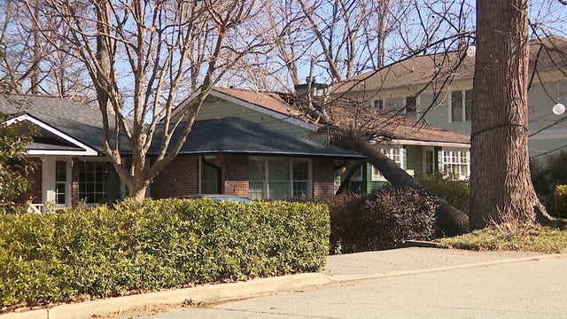 Gusty winds knock tree on Atlanta home with infant inside