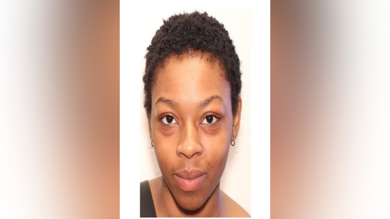 Atlanta police searching for missing 27-year-old Ariel Johnson