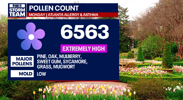 Atlanta weather: Cooler temps today, pollen count still high