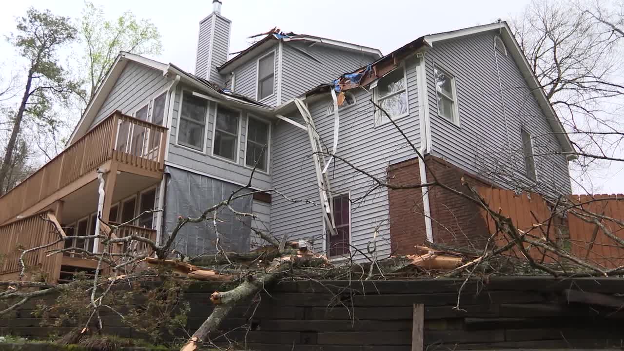 'Sounded like an earthquake': Tree crashes through Stockbridge sunroom