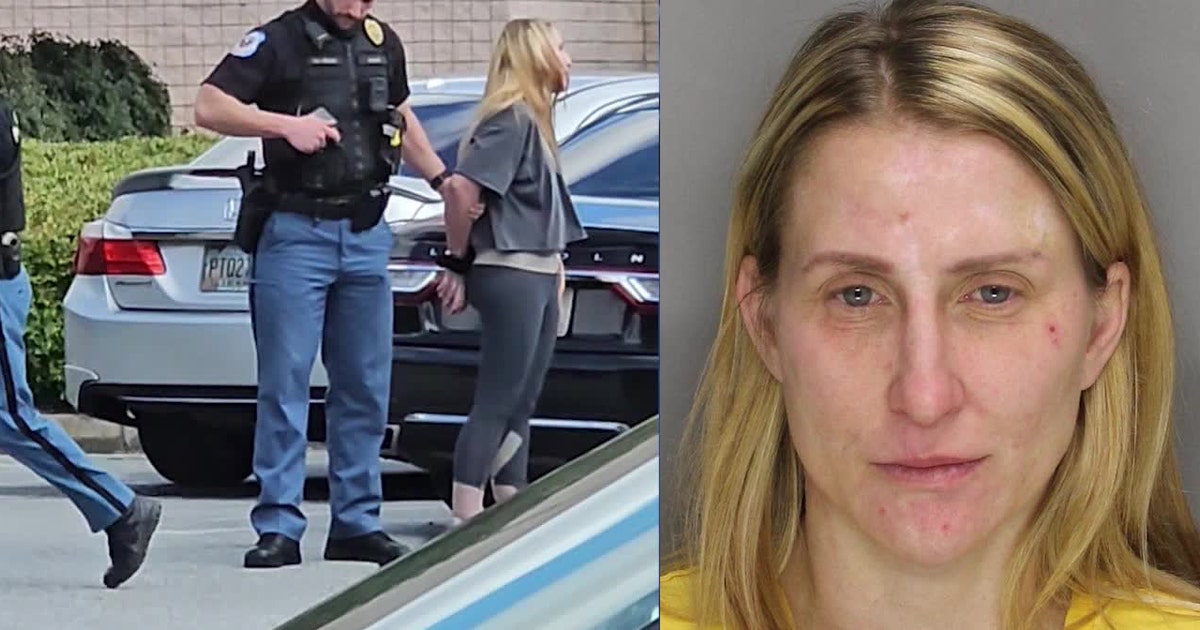 3 kids left in car at Cobb County mall, mom arrested | FOX 5 Atlanta