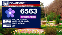 Atlanta weather: Cooler temps today, pollen count still high