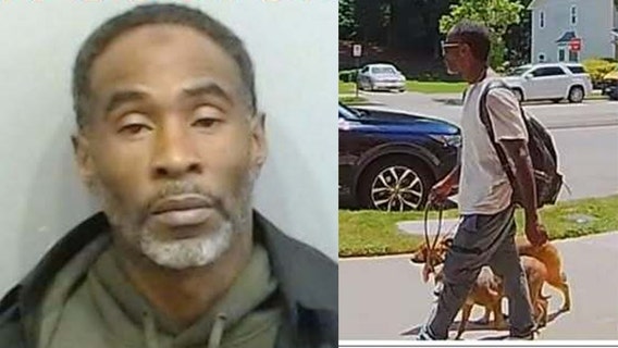 Atlantic Station dog killings: Dorie Wilson charged with bestiality, aggravated cruelty