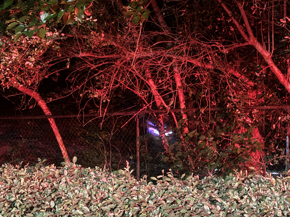 DeKalb firefighters respond to brush fire near Dunwoody apartments