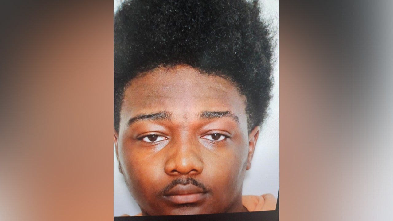 Man hunt underway after deadly Albany shooting spree