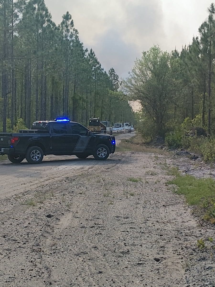 Over 120 homes destroyed by South Georgia wildfires