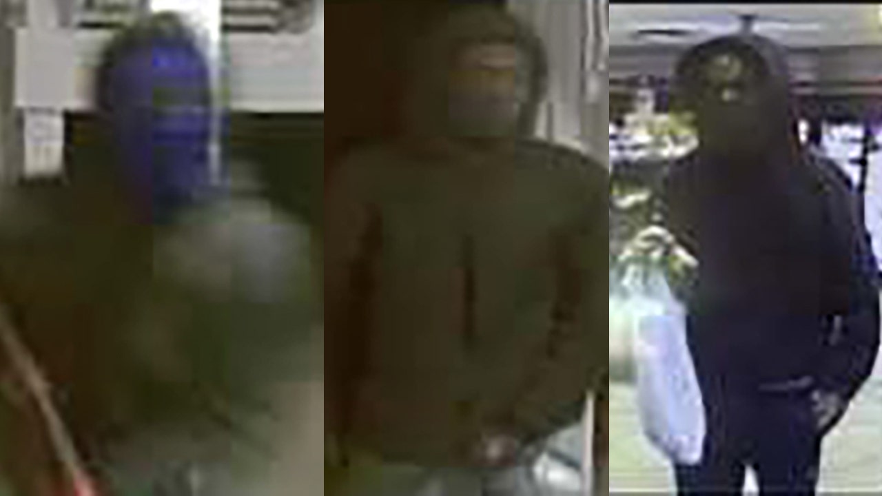 New images released in Smyrna armed robbery and assault case