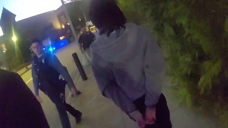 9 arrested at Gwinnett County 'teen takeover' event