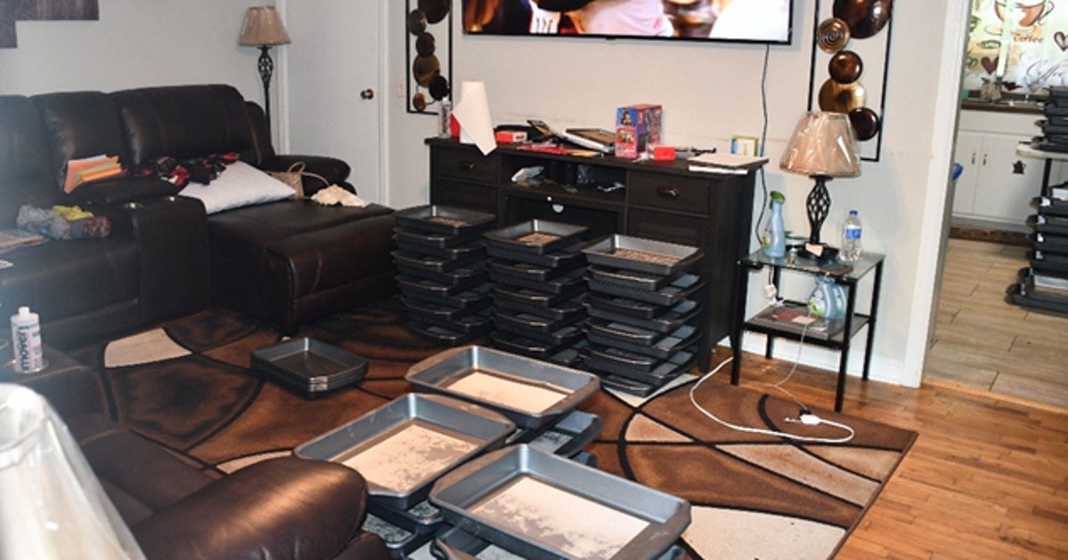 Georgia men plead guilty in China-linked fentanyl conspiracy