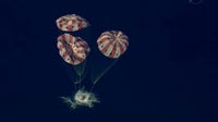Artemis II splashdown: NASA astronauts return home