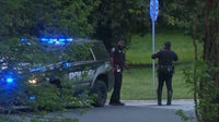 Woman killed during daily walk in DeKalb neighborhood, residents say