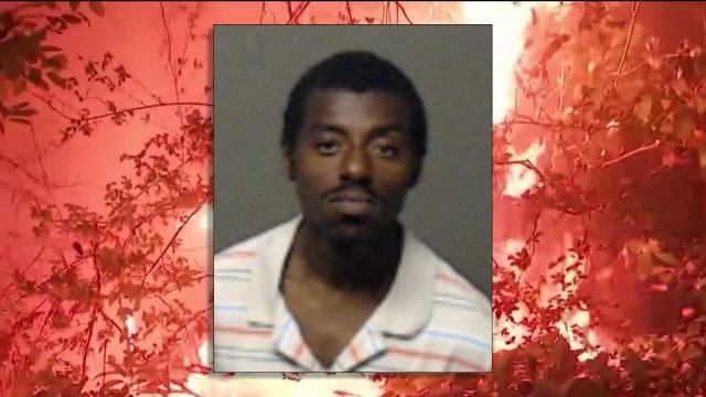 15 fires, no motive: Why a DeKalb man is accused of serial arson