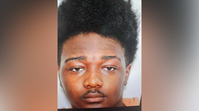 Suspect arrested in deadly Albany shooting spree