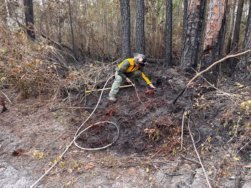 Containment increases for wildfires in South Georgia