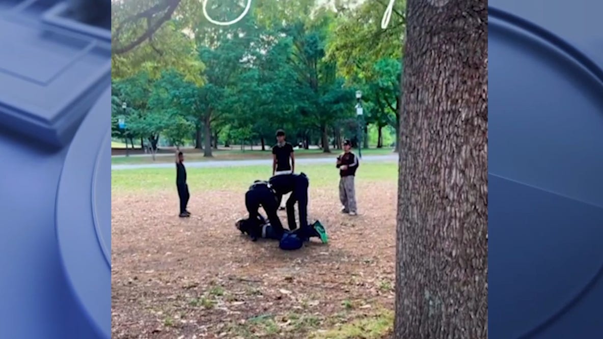 Man accused of assaulting woman at Piedmont Park during picnic
