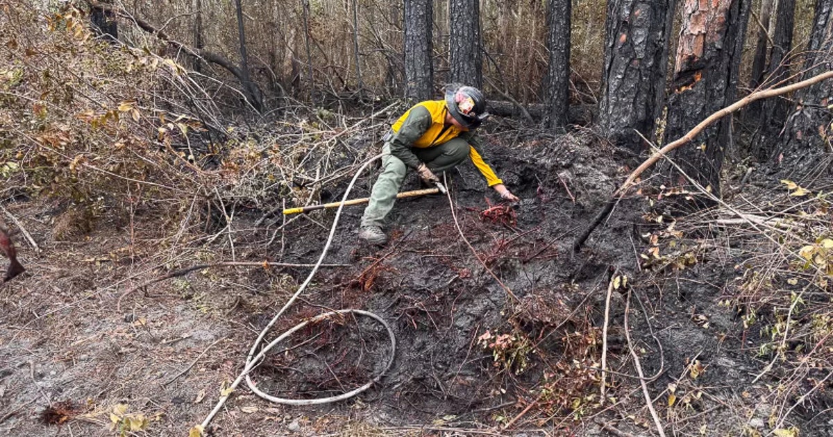 Containment increases for wildfires in South Georgia