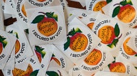 Georgia counties named in DHS review of multilingual ballots