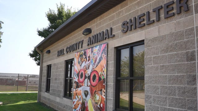 Hall shelter delays opening after parvovirus cases