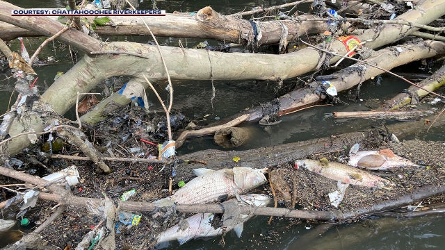 What is a fish kill? Why thousands of fish suffocated in Chattahoochee River