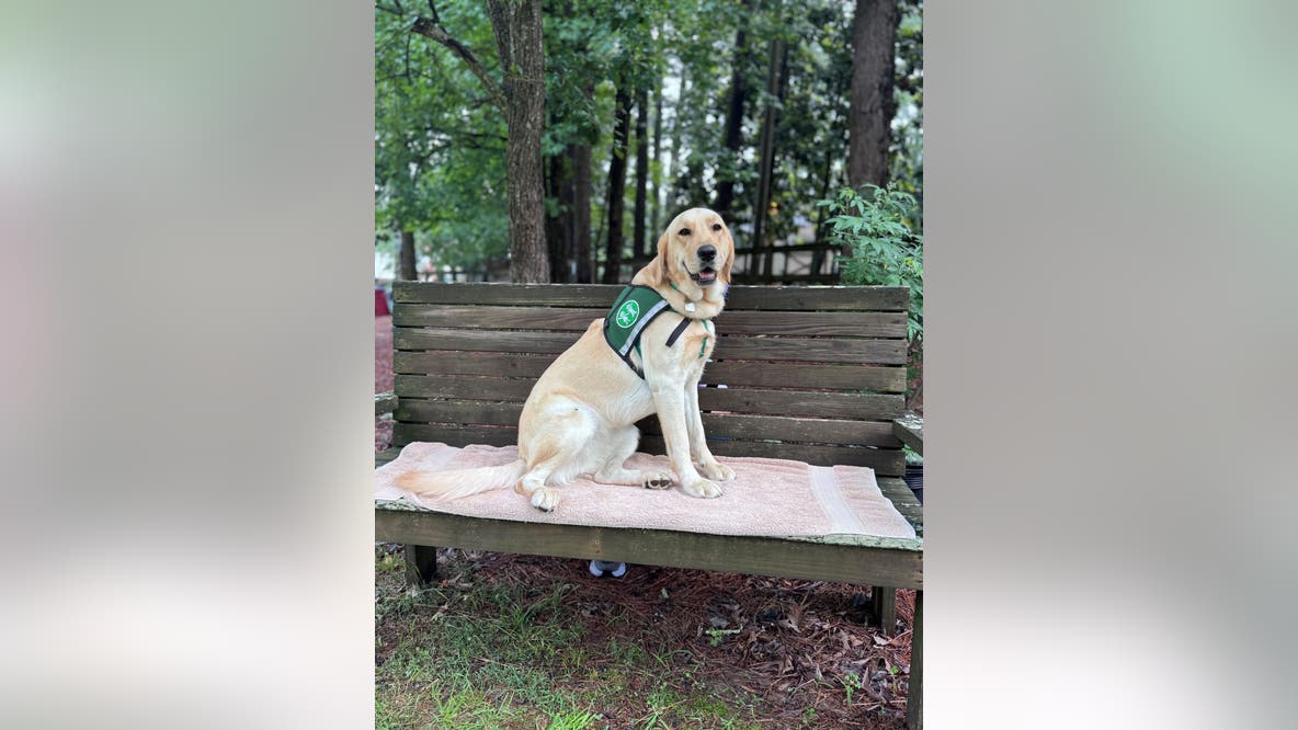Children's Healthcare welcomes new facility dog