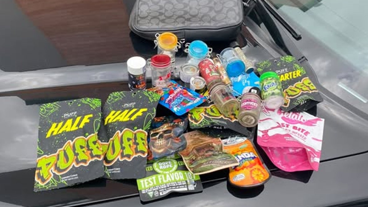 Michigan woman jailed after major hotel drug bust in Clayton County