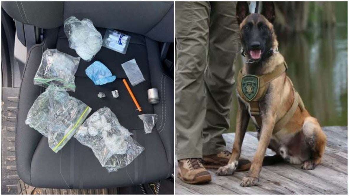 Meth, fentanyl seized before reaching Georgia, North Carolina streets