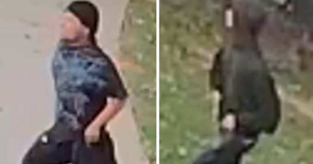 Police hunt for 2 suspects after McDonough neighborhood shooting