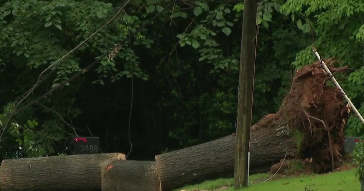 Metro Atlanta storm damage: Storm topples trees, knocks out power