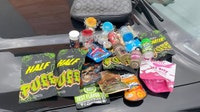 Michigan woman jailed after major hotel drug bust in Clayton County