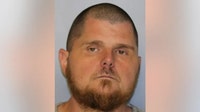 Man arrested after Gainesville store robbed at knifepoint