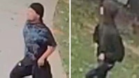 Police hunt for 2 people after McDonough neighborhood shooting