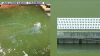 Suspected algae bloom prompts warning at Lake Lanier