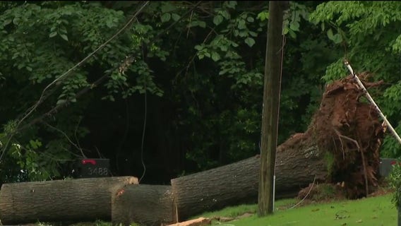 Metro Atlanta storm damage: Storm topples trees, knocks out power