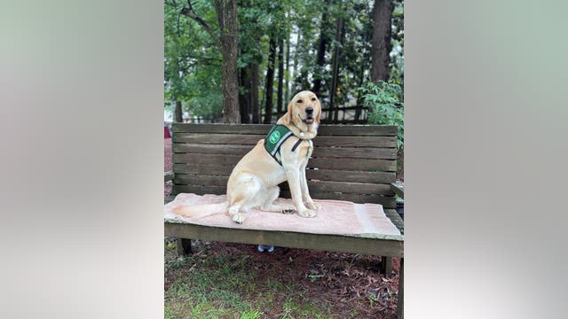 Children's Healthcare welcomes new facility dog