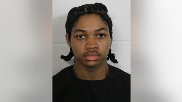 Multiple agencies searching for Rome shooting suspect