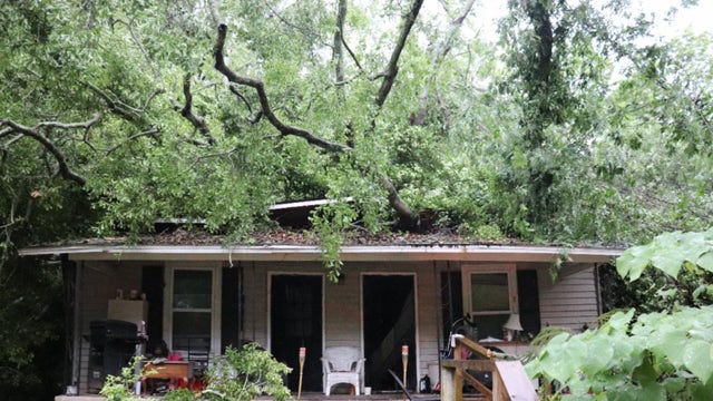 Fallen tree traps man during severe LaGrange thunderstorm