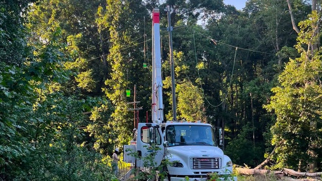 Power restored after fallen tree causes major outage in Palmetto