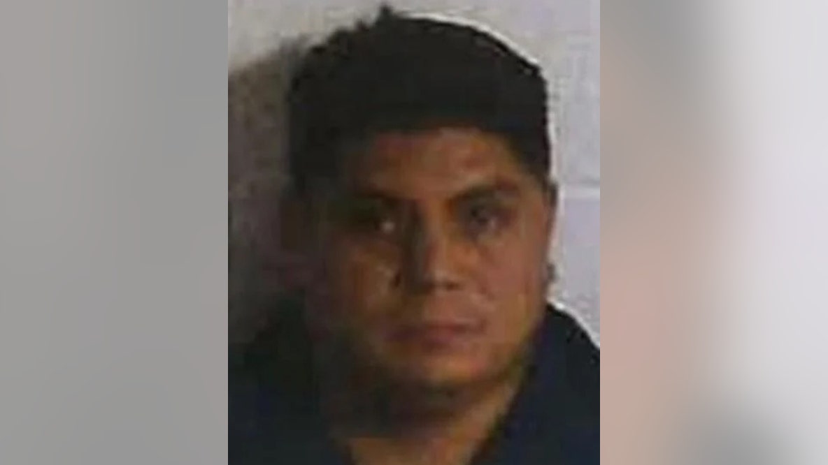 Georgia fugitive captured after nationwide manhunt