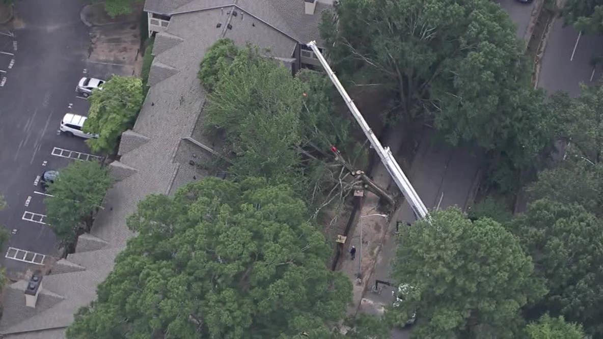 Atlanta worker hospitalized after tree hits bucket truck