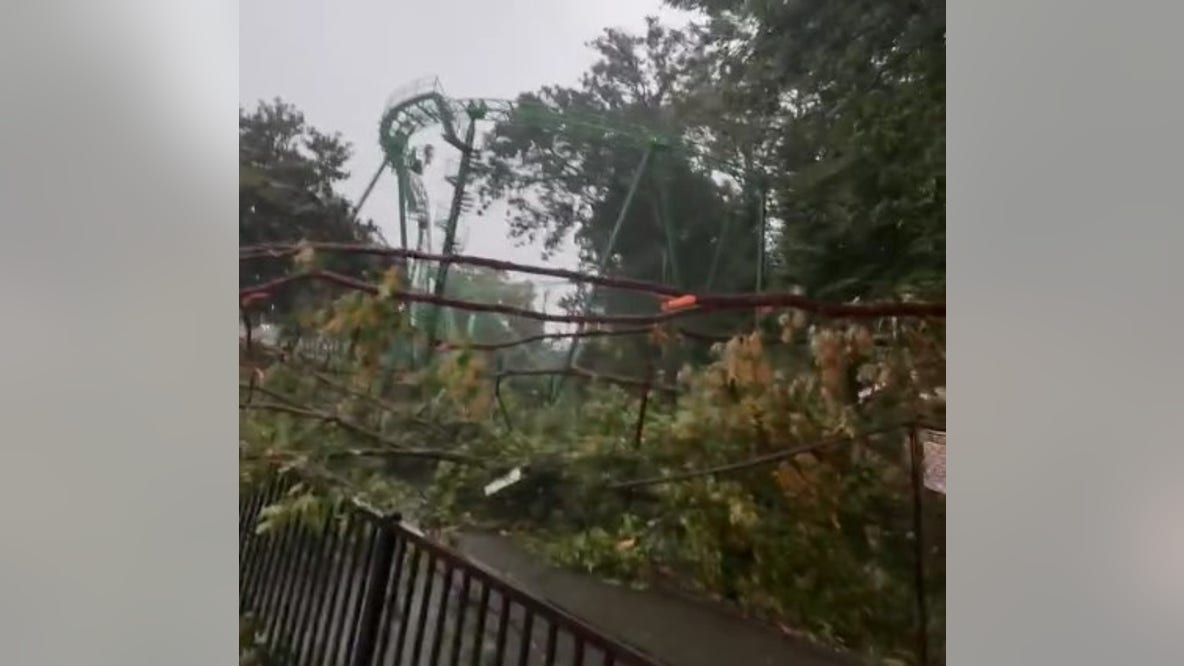 4 struck by fallen tree near Six Flags Over Georgia entrance