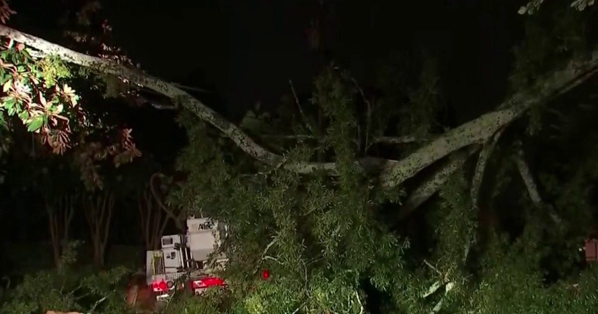 Storms topple trees, knock out power across metro Atlanta | FOX 5 Atlanta