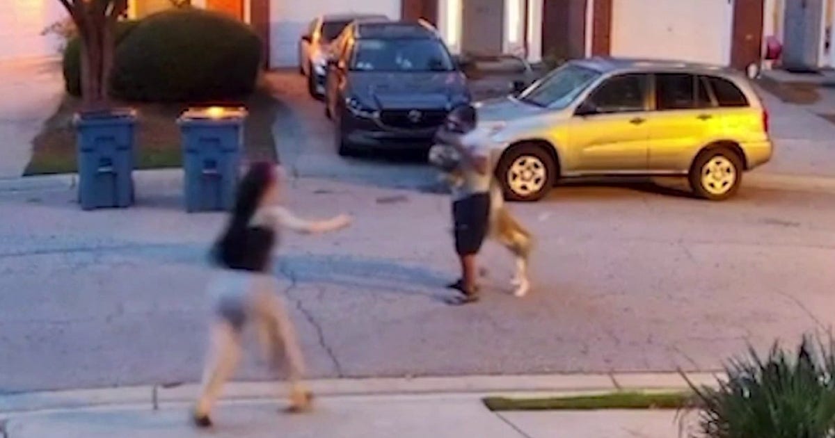 'My heart stopped': Gwinnett County man survives dog attack
