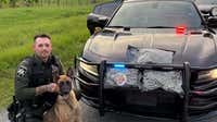 Stephens County drug bust: K-9 Ria finds 3.5 pounds of marijuana on Highway 365